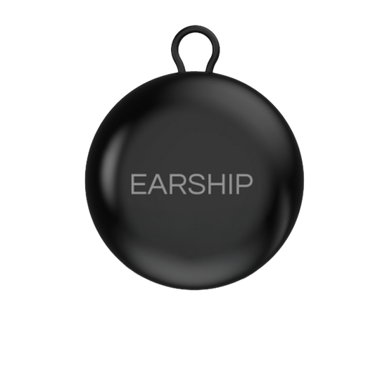 Earship Travel Case